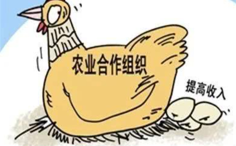 在鄭州農(nóng)民專(zhuān)業(yè)合作社怎么設(shè)立登記